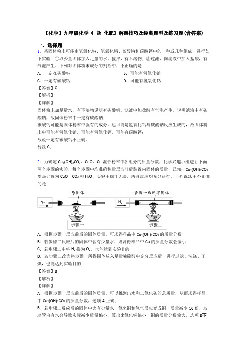 【化学】九年级化学《 盐 化肥》解题技巧及经典题型及练习题(含答案)