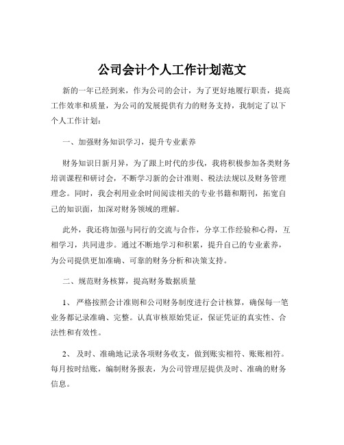 公司会计个人工作计划范文