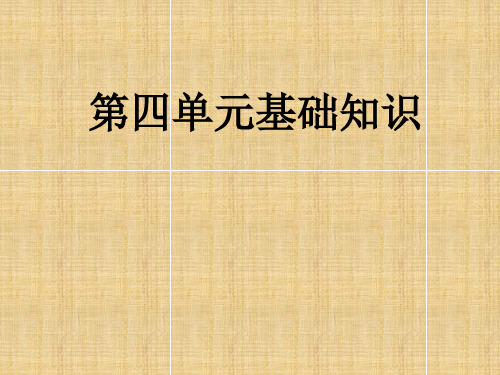 部编版六年级下册语文第四单元复习