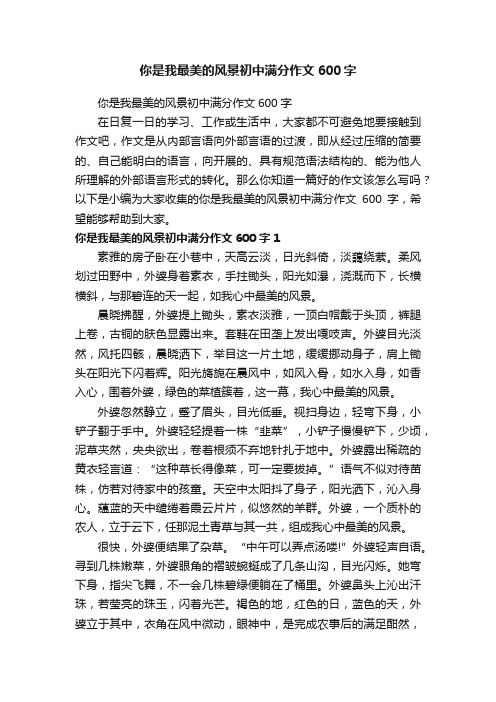 你是我最美的风景初中满分作文600字