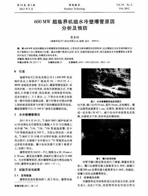 600MW超临界机组水冷壁爆管原因分析及预防