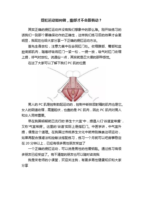 提肛运动如何做，腹部才不会跟着动？