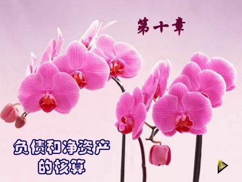 负债与净资产的核算