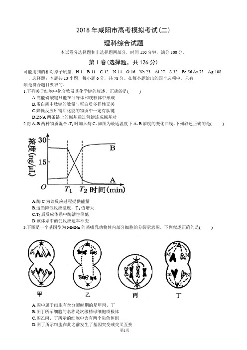 2018年陕西省咸阳市高考模拟考试(二)理科综合试题(word)