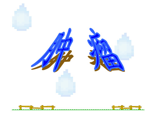 《临床医学肿瘤》PPT课件