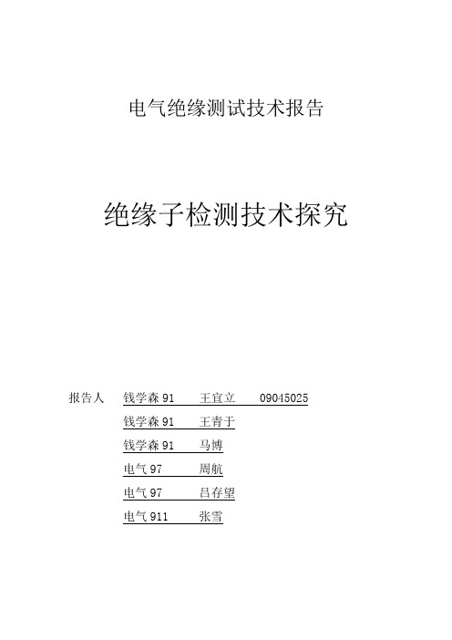 电气绝缘测试技术报告(绝缘子检测技术探究)