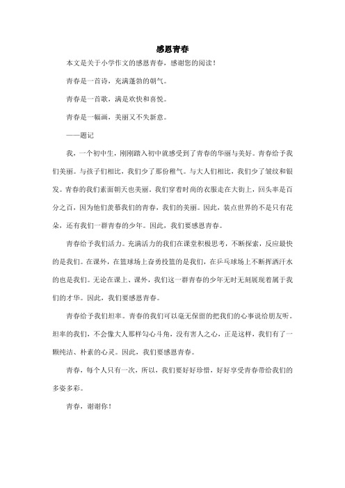 感恩青春_小学作文