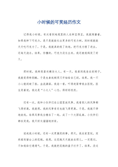 小时候的可笑经历作文