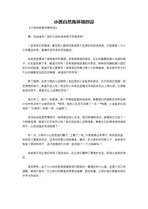 小班自然角环境创设