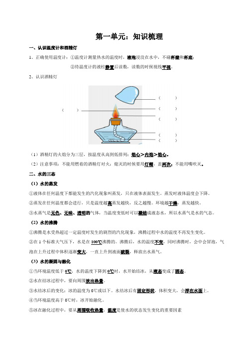 三年级上科学第一单元知识点整理