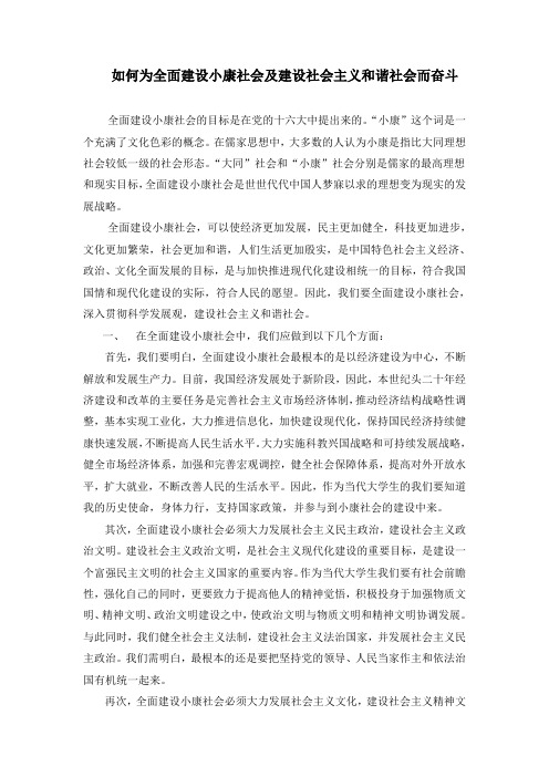 如何为全面建设小康社会及建设社会主义和谐社会而奋斗