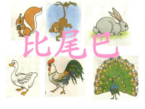 聂丽丽《比尾巴》