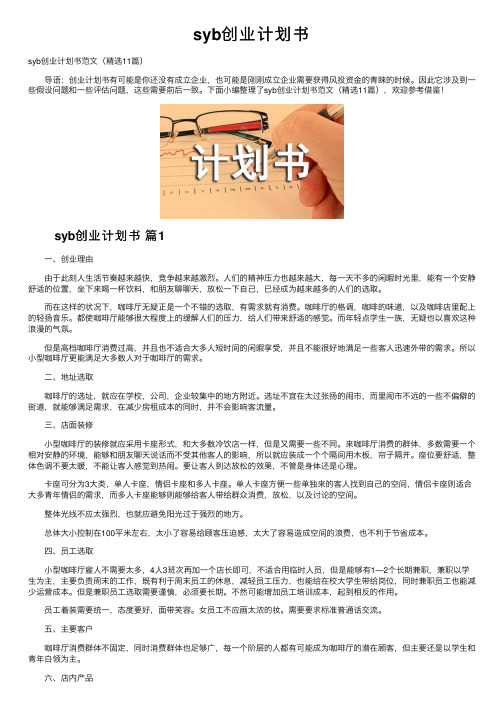 syb创业计划书