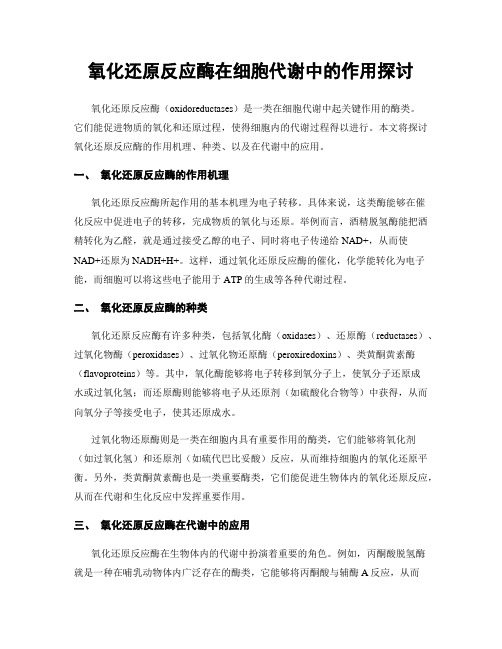 氧化还原反应酶在细胞代谢中的作用探讨