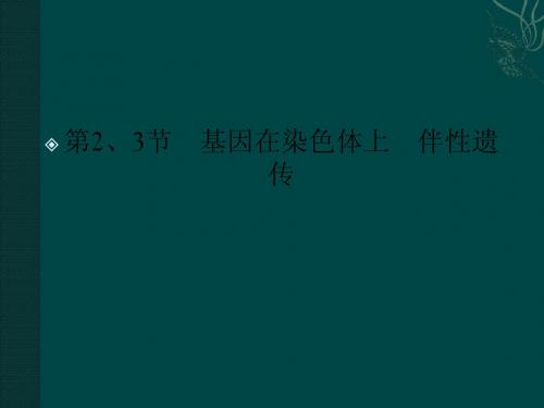 金版人教生物必修二：2-2、3(课件)