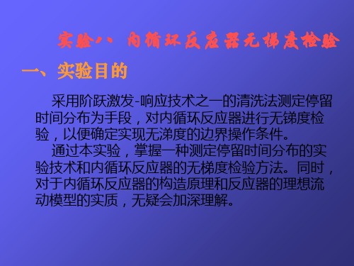 实验八内循环反应器无梯度检验讲解材料