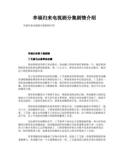 幸福归来电视剧分集剧情介绍