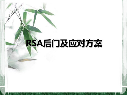 RSA后门分解与应对