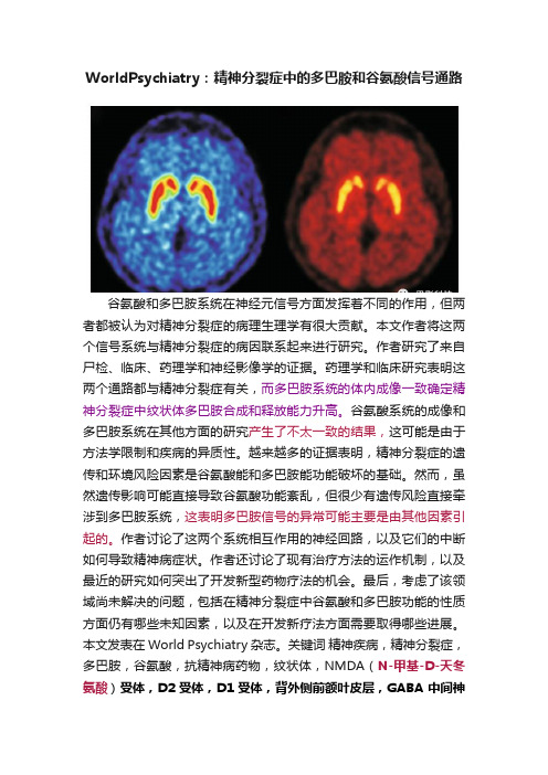 WorldPsychiatry：精神分裂症中的多巴胺和谷氨酸信号通路