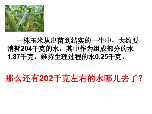 水分充足→保卫细胞吸水膨胀→气孔张开→蒸腾作用增强水分缺少