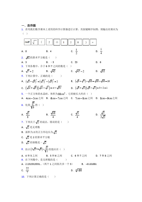 (好题)初中数学八年级数学上册第二单元《实数》检测题(含答案解析)(2)