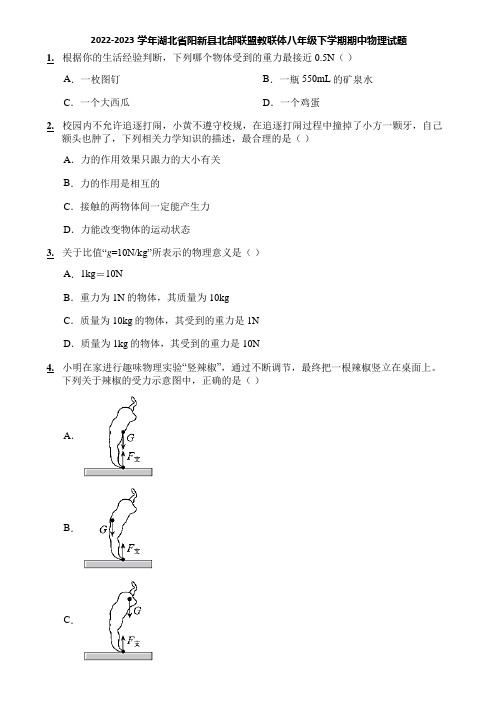 2022-2023学年湖北省阳新县北部联盟教联体八年级下学期期中物理试题