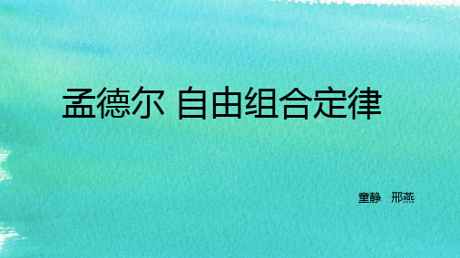 孟德尔