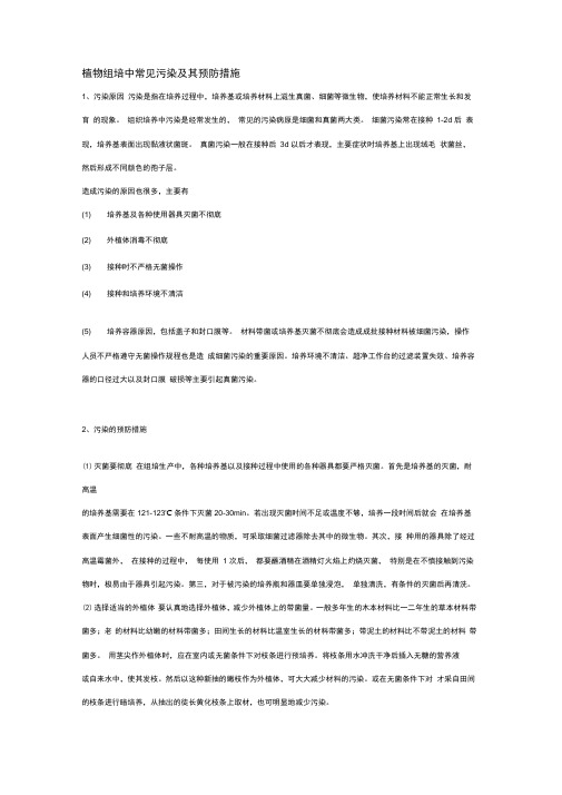 植物组培中常见污染及其预防措施