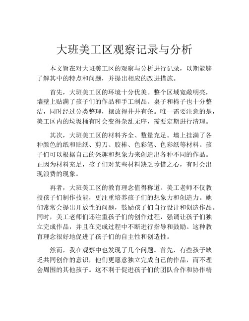 大班美工区观察记录与分析