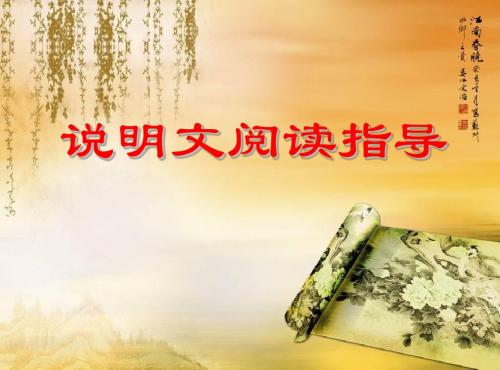 说明文阅读指导12.12