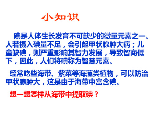 实验23从海带中提取碘