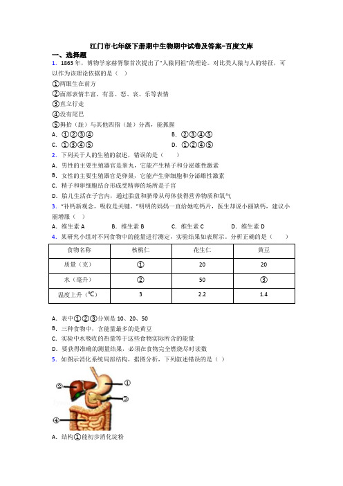 江门市七年级下册期中生物期中试卷及答案-百度文库