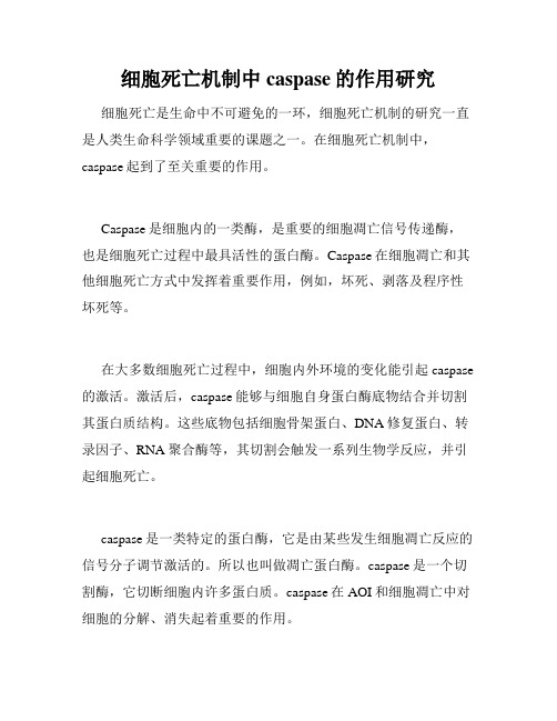 细胞死亡机制中caspase的作用研究