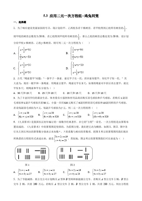 5 3 应用二元一次方程组--鸡兔同笼 课后练习 北师大版八年级数学上册 