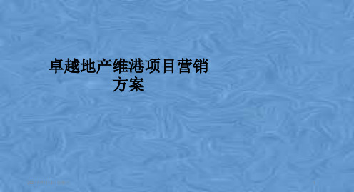 卓越地产维港项目营销方案