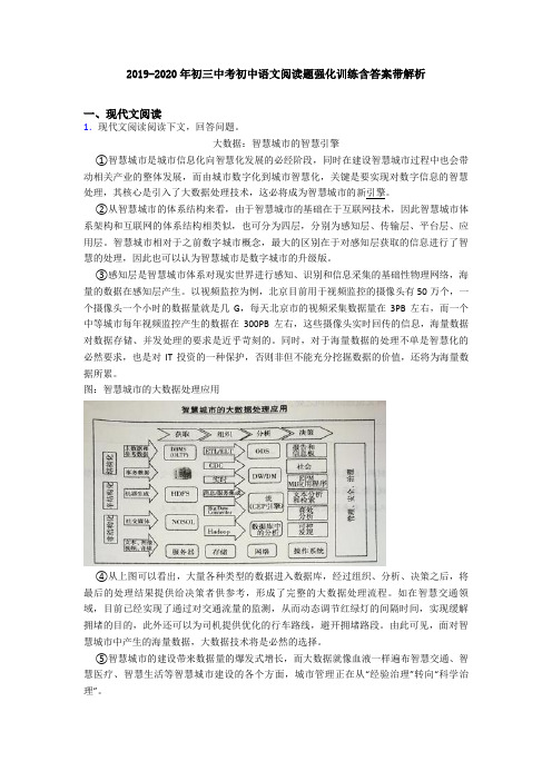 2019-2020年初三中考初中语文阅读题强化训练含答案带解析