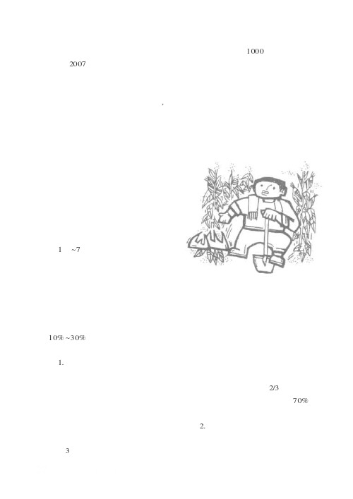 玉米重大病虫害综合防治技术