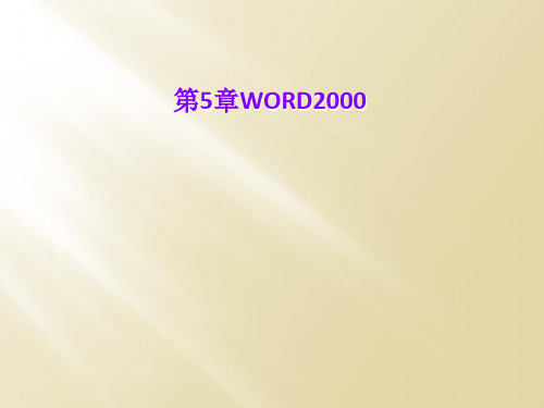 第5章WORD2000