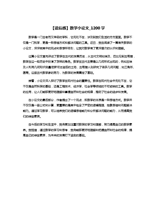 【读后感】数学小论文_1200字