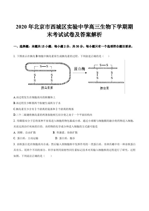 2020年北京市西城区实验中学高三生物下学期期末考试试卷及答案解析