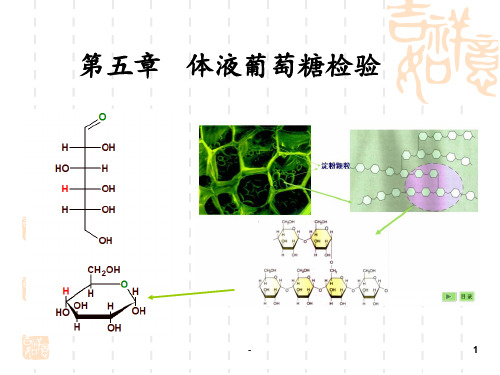 第六章体液葡萄糖检验PPT课件