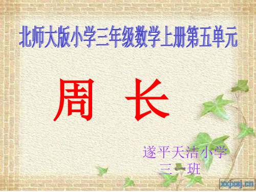 三年级数学周长知识树