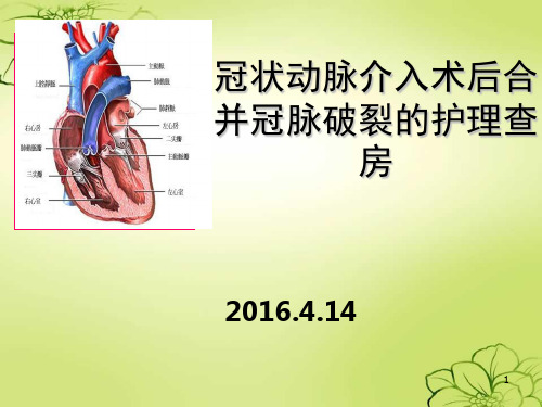 冠状动脉介入治疗的护理查房PPT课件