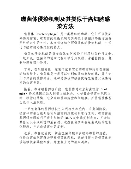 噬菌体侵染机制及其类似于癌细胞感染方法