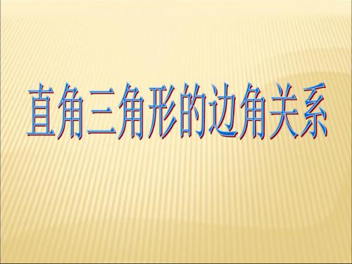 鲁教版九年级数学上2.4《 直角三角形的边角关系》ppt(共23张PPT)