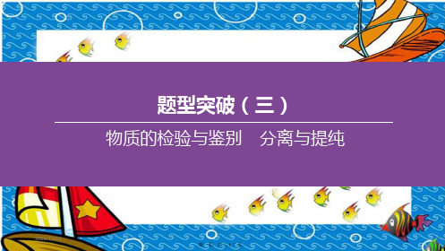 中考化学复习方案 题型突破03 物质的检验与鉴别 分离与提纯课件