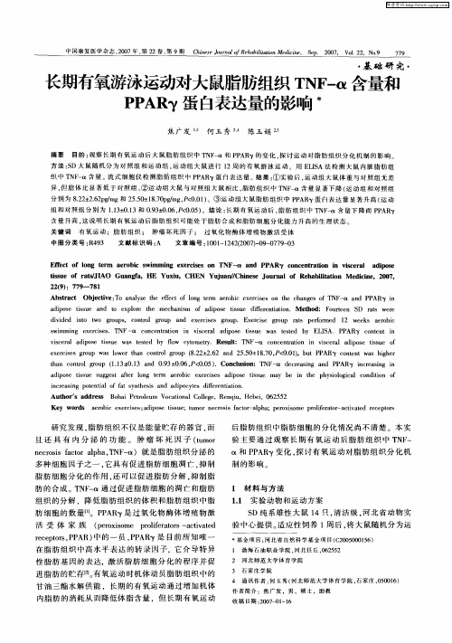 长期有氧游泳运动对大鼠脂肪组织TNF-α含量和PPARγ蛋白表达量的影响