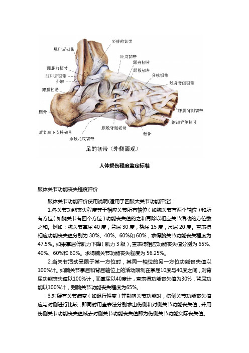 踝关节功能评分