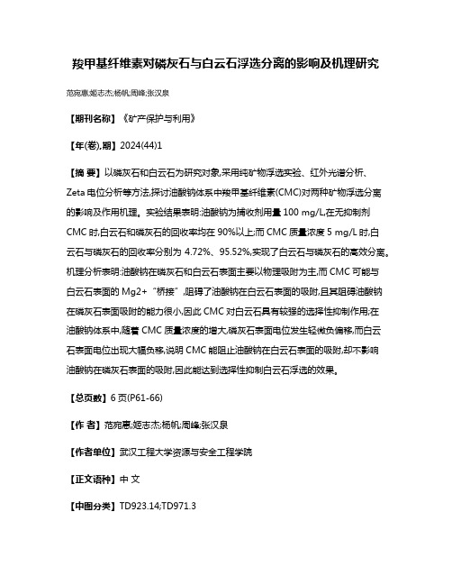 羧甲基纤维素对磷灰石与白云石浮选分离的影响及机理研究