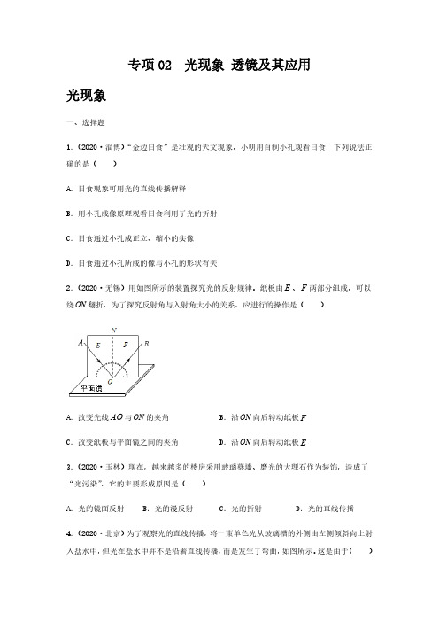 (初中物理)  光现象 透镜及其应用(原卷版)-